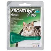 Pipeta Frontline gato