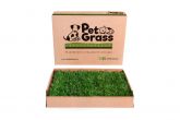 Pet Grass mediano 65x45x9cm