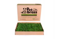 Pet Grass grande 90x65x9cm